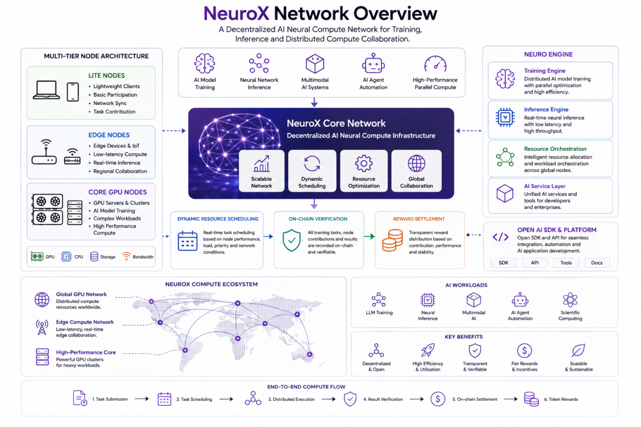 NeuroX 网络架构示意图